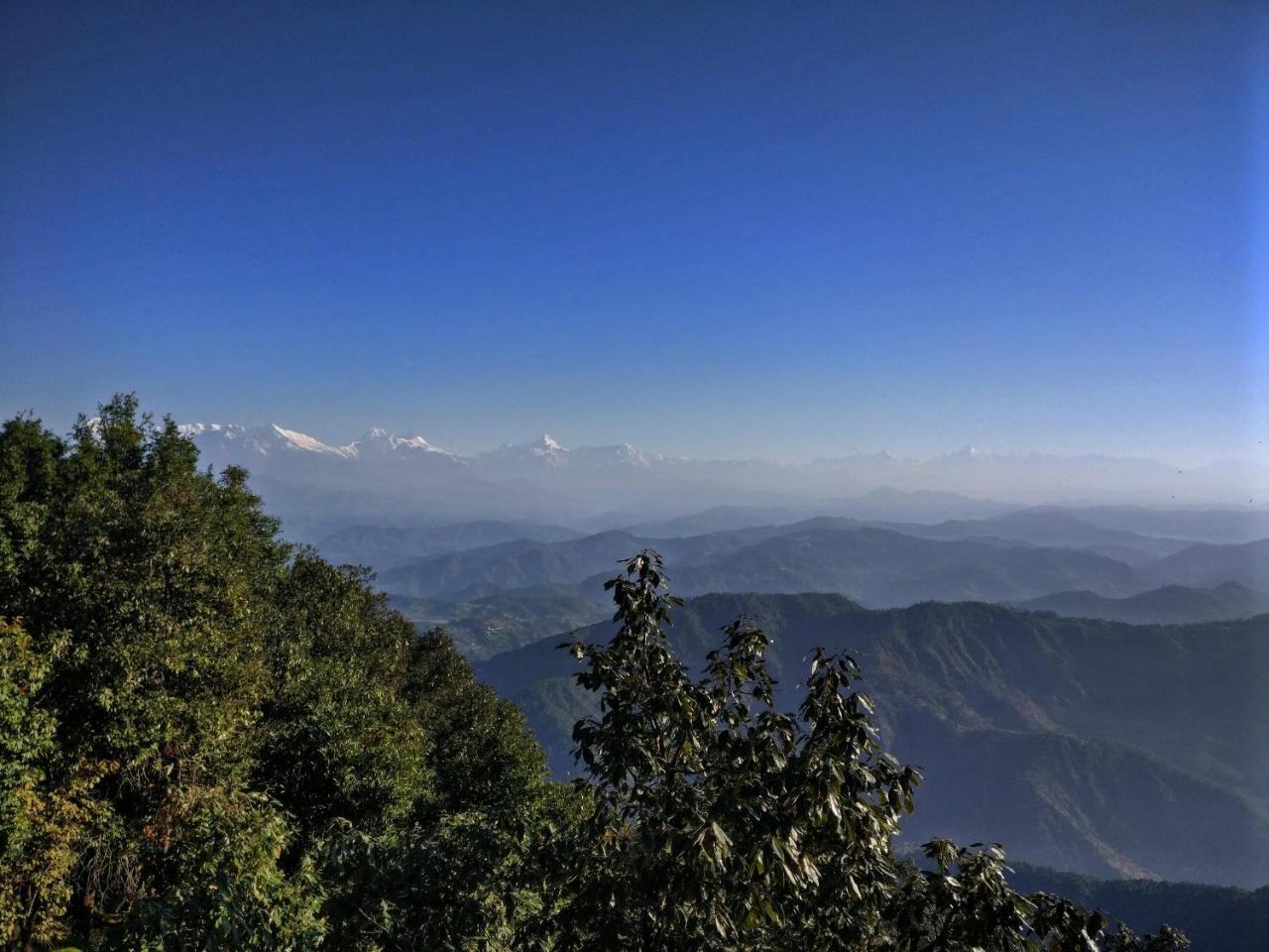 Simba Cafe & Lodge Binsar Exterior photo